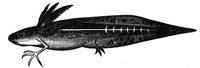 419296.jpg