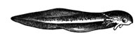 419294.jpg