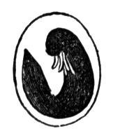 419292.jpg