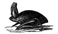 419282.jpg
