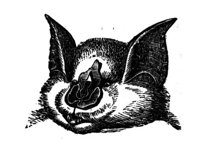 419280.jpg