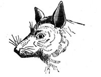 419276.jpg