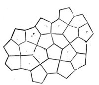 419246.jpg
