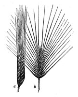 419222.jpg