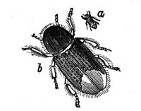 419214.jpg