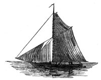 419210.jpg