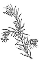 419190.jpg