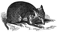 419184.jpg