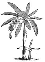 419178.jpg