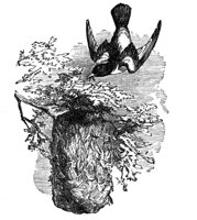419172.jpg