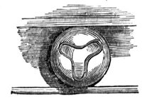 419164.jpg