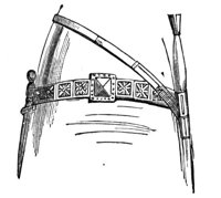 419156.jpg