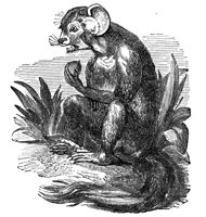 419108.jpg