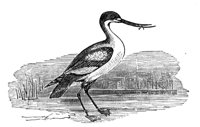 419102.jpg
