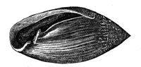 419092.jpg