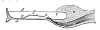 419084.jpg