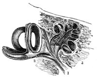 419080.jpg