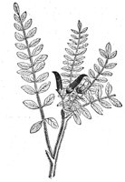 419068.jpg