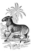 419056.jpg