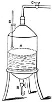 419054.jpg