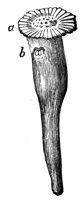 419050.jpg