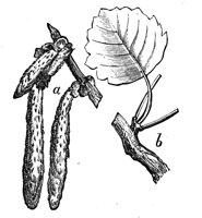 419048.jpg