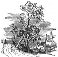 419040.jpg