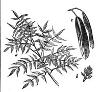 419038.jpg
