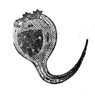 419032.jpg