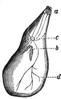419030.jpg