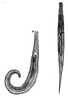 419026.jpg