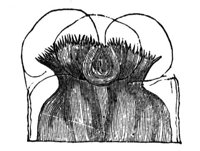 419024.jpg