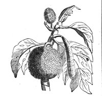 419014.jpg