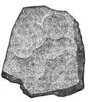 419002.jpg