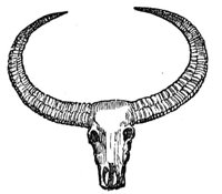 418986.jpg