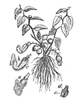 418970.jpg