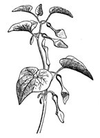 418968.jpg