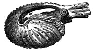 418960.jpg