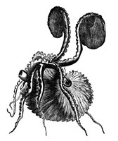 418958.jpg