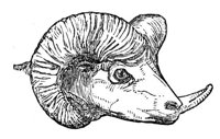 418956.jpg