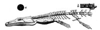 418944.jpg