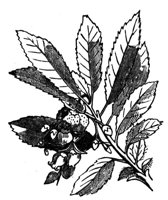 418942.jpg
