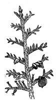 418940.jpg
