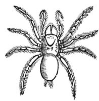 418930.jpg
