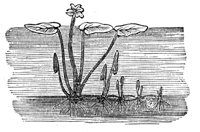 418920.jpg
