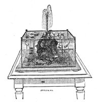 418918.jpg