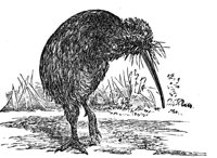 418914.jpg