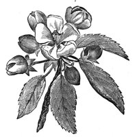 418906.jpg
