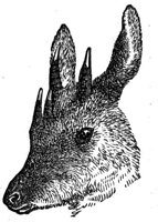 418884.jpg