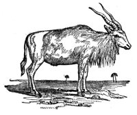 418882.jpg